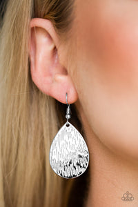 Terra Incognita Silver Earrings